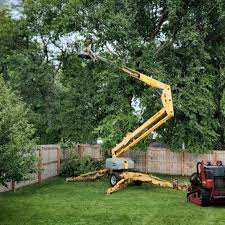 Best Lawn Maintenance Plans  in Peshtigo, WI